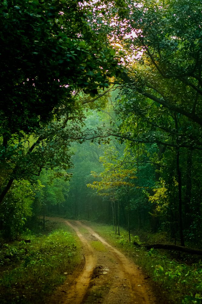 Photograph by Abhik Das