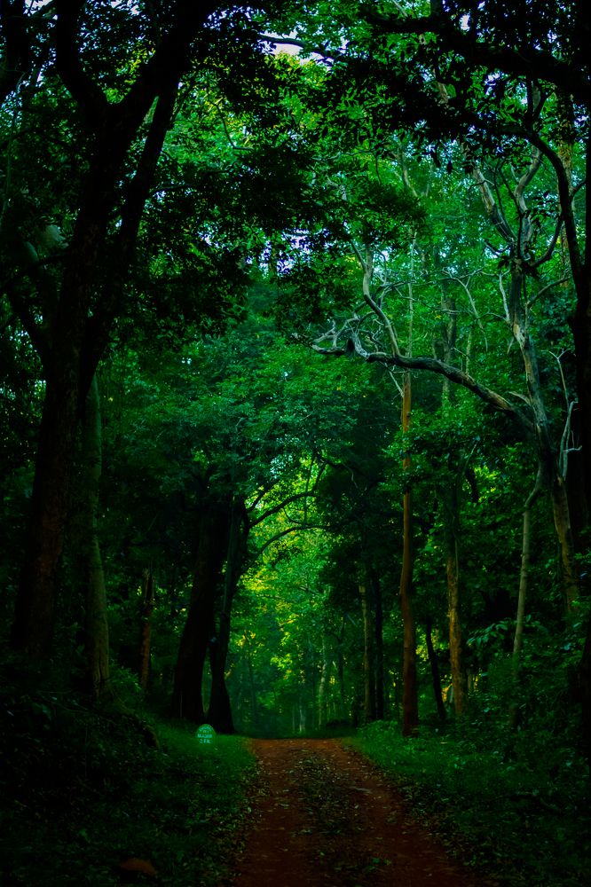 Photograph by Abhik Das