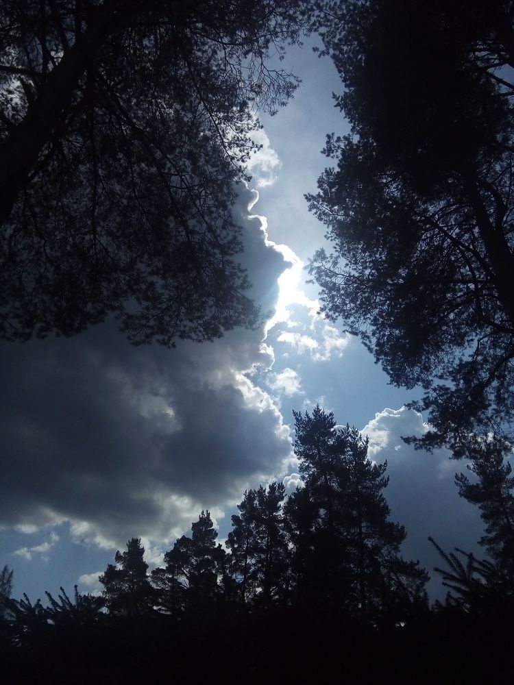 Photograph by Людмила Ковалева