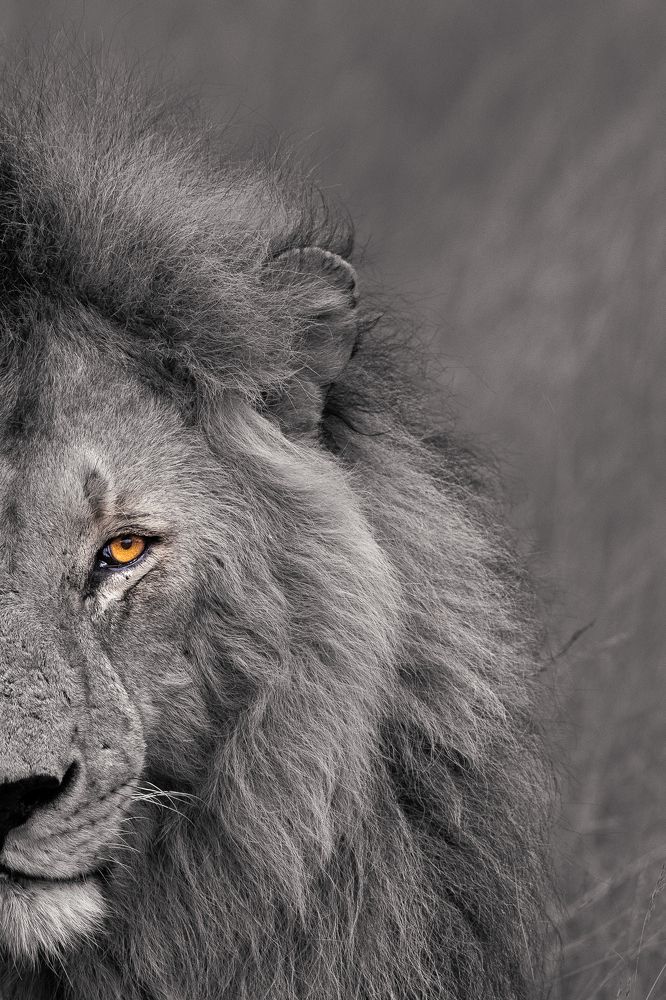 Photograph by Sai Kiran Bhagavatula