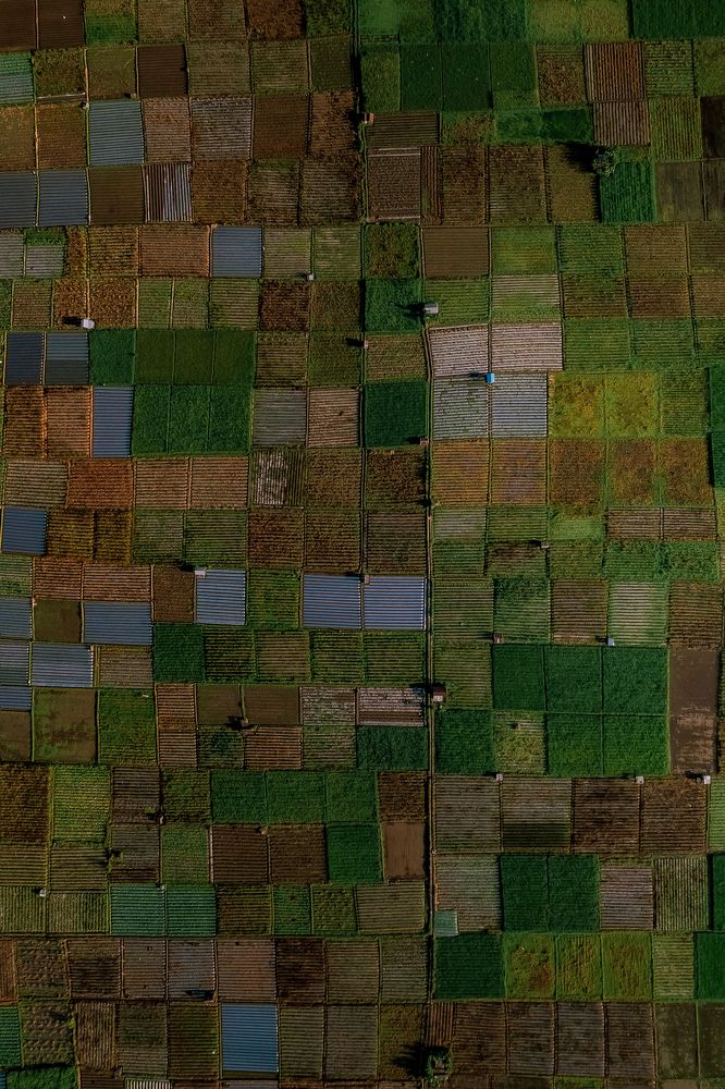 Photograph by Анастасия Сауль