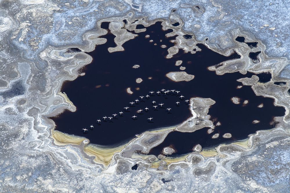 Photograph by Dilip Shah