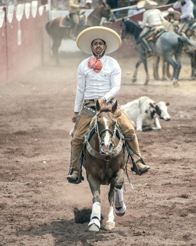 Photograph by Aлена Плясова