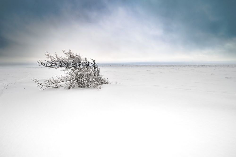 In the white silence...