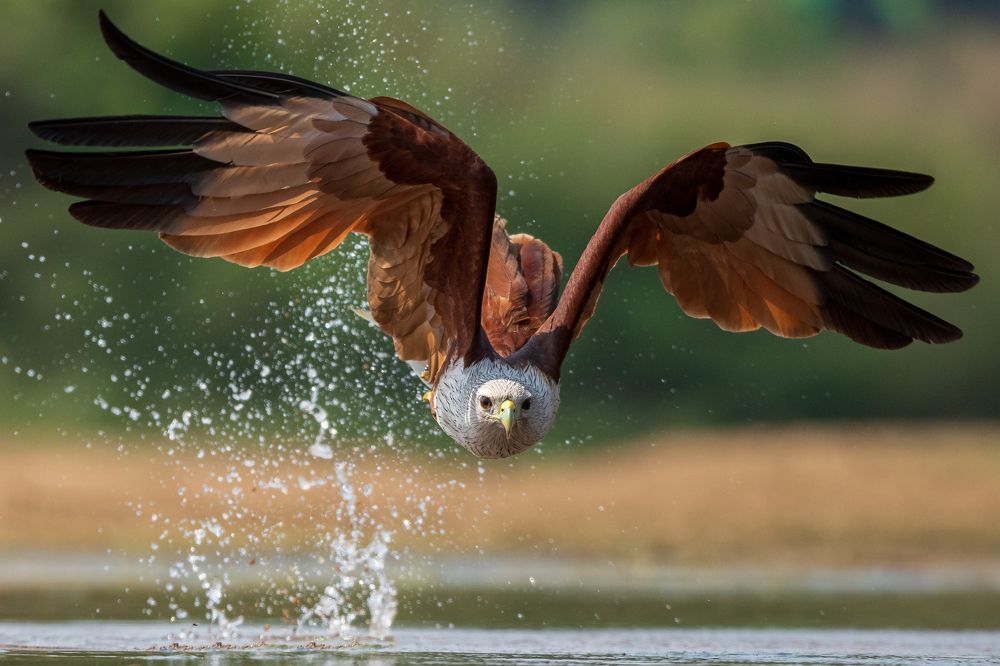 Photograph by Arnold judson Samuel