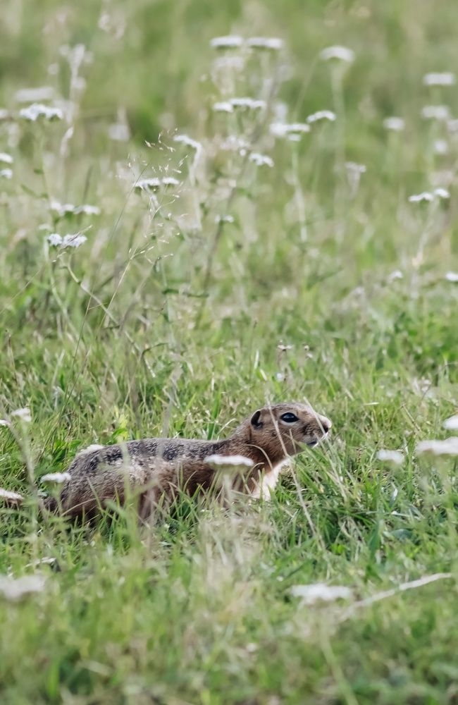 Photograph by Евгения Наумова