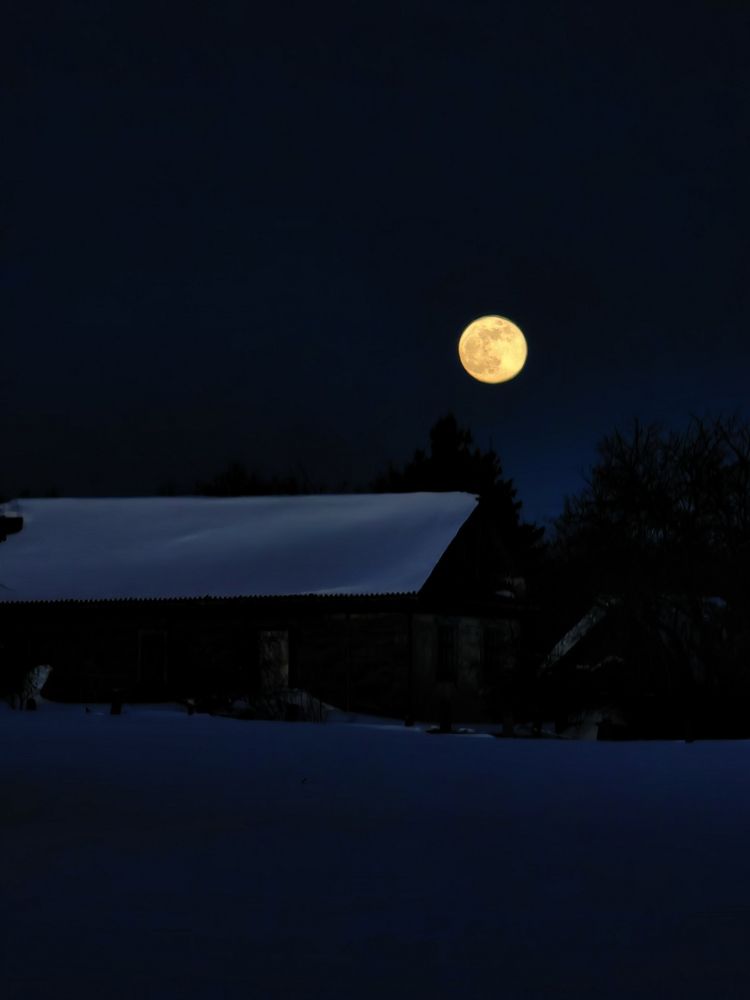 Photograph by Игорь Сапронов