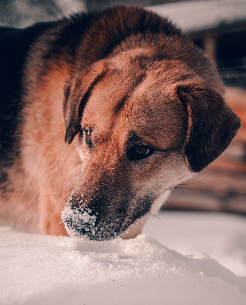 Photograph by Галина Патрушева