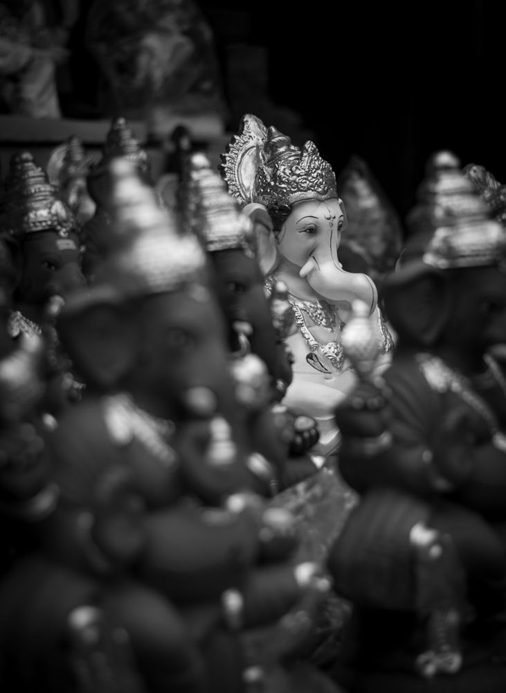 Photograph by Roshan