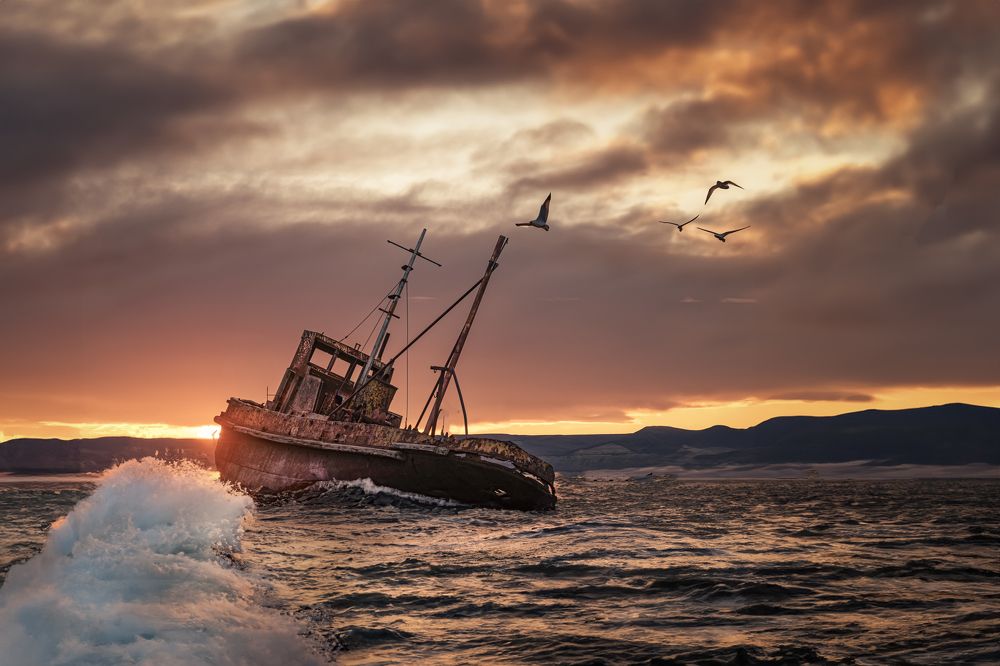 Фотография автора Edgardo Cardenas