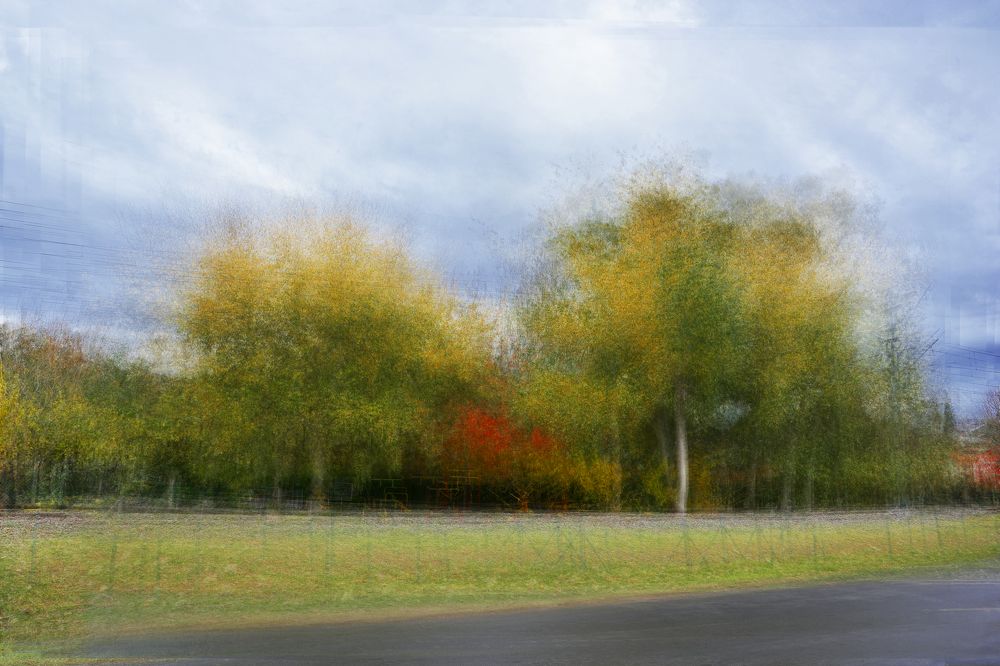 Фотография автора Daniel A. Pérez