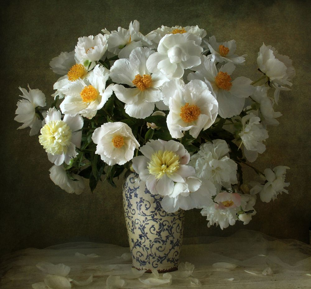 Волшебный сон из сказки чудной