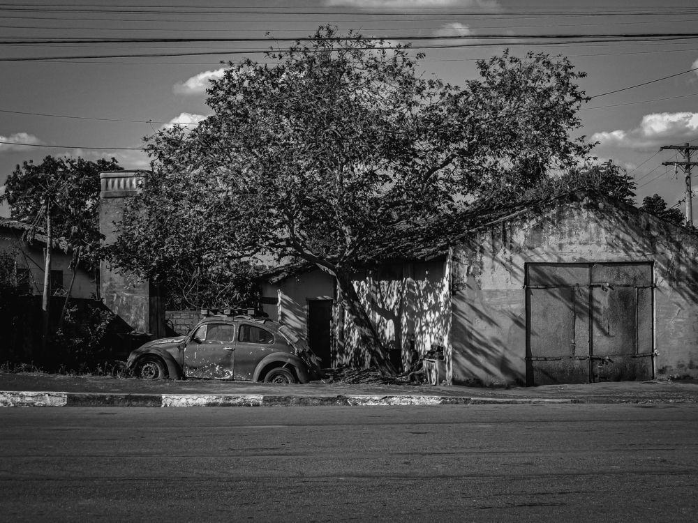 Photograph by Meire Costa