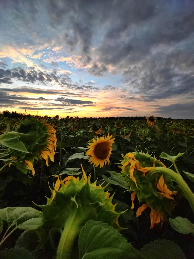 Photograph by Максим Двинин