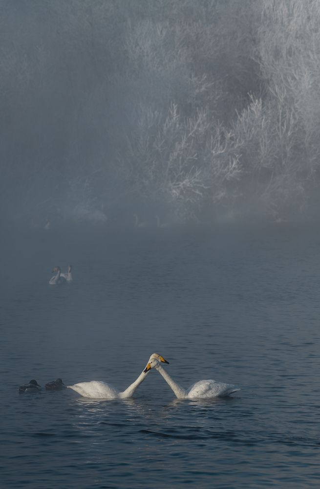 Photograph by Евгений Санин