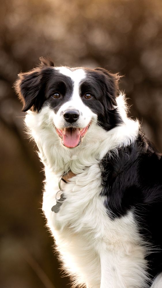 Photograph by Bernardita Aguirre