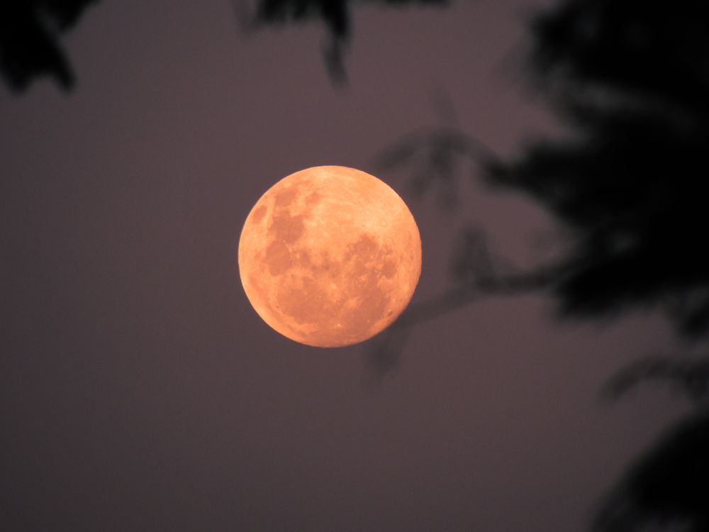 Photograph by Meire Costa