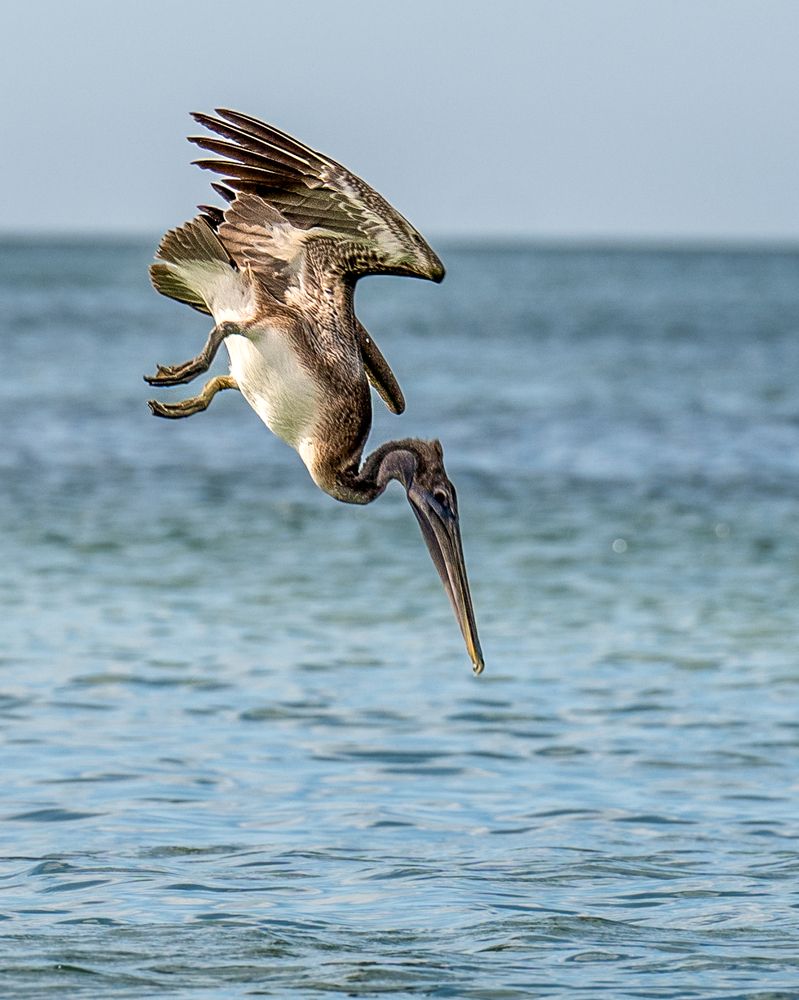 Photograph by Bernardita Aguirre