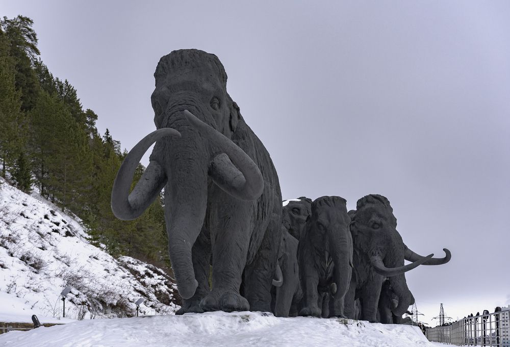 Photograph by Бадретдинов Виталий