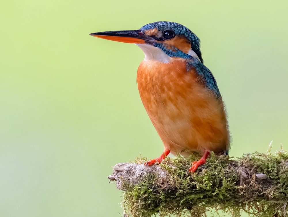 Photograph by PARTHA ROY