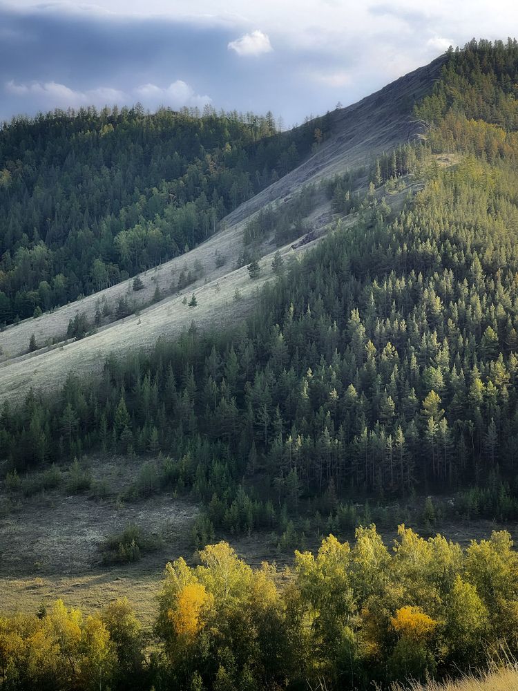 Фотография автора Дарья Кузнецова