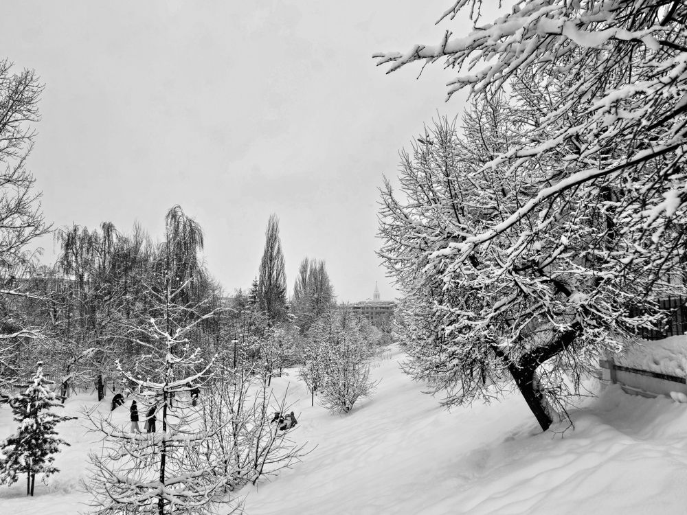 Photograph by Айгуль Кубиева