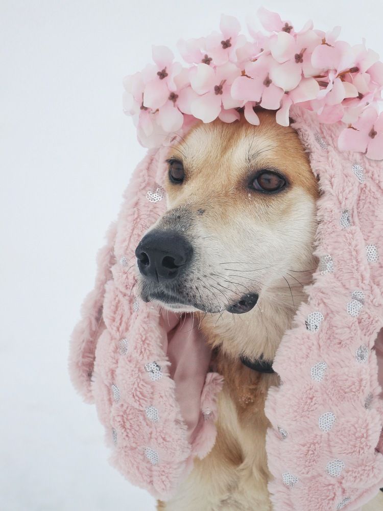 Фотография автора Евгения Никишина