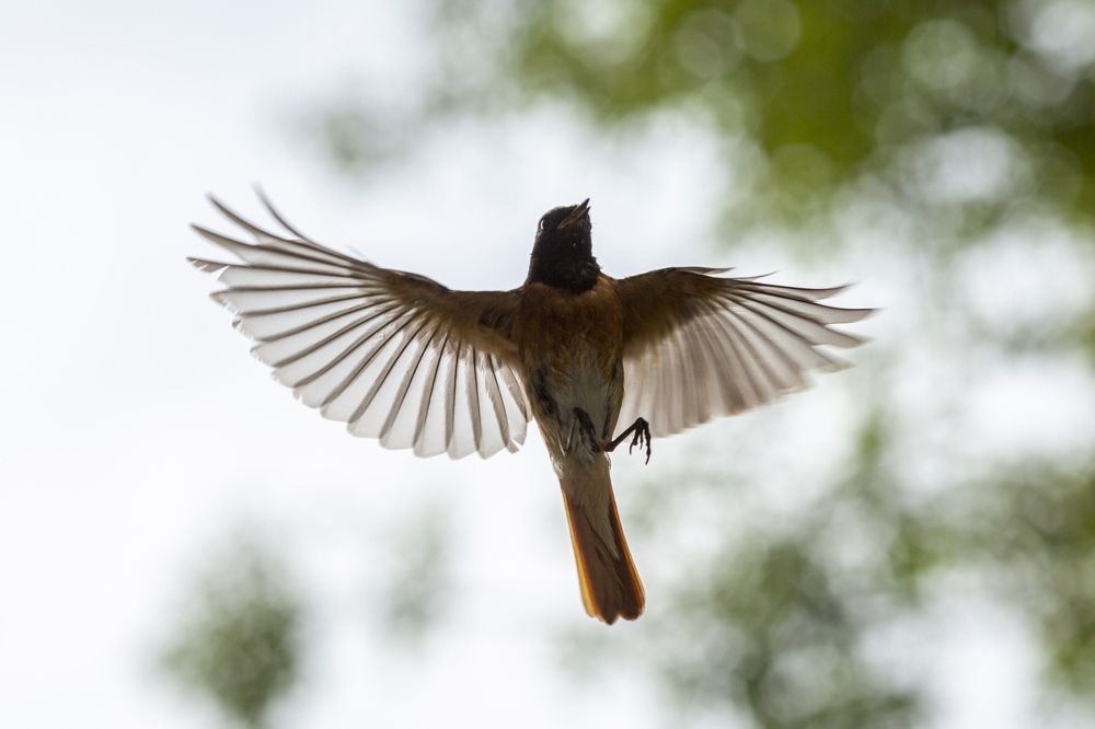 Photograph by Кутний Игорь