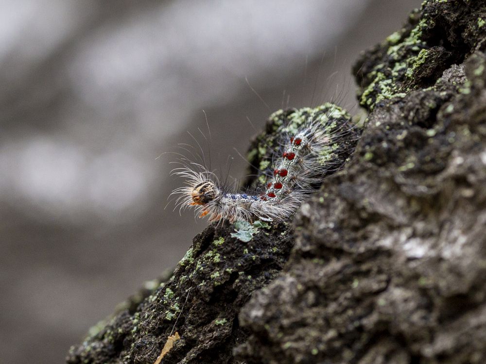 Photograph by Кутний Игорь