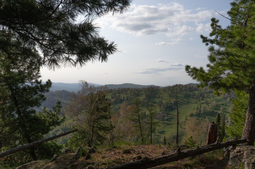 Photograph by Денис Карачёв