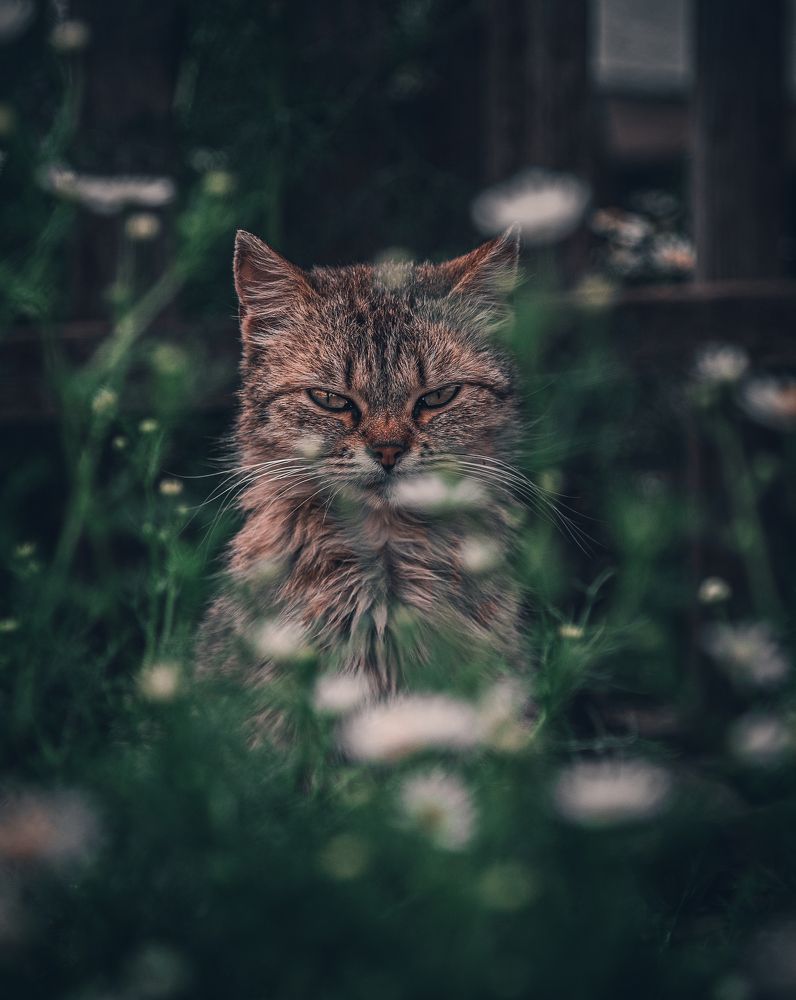 Photograph by Галина Патрушева