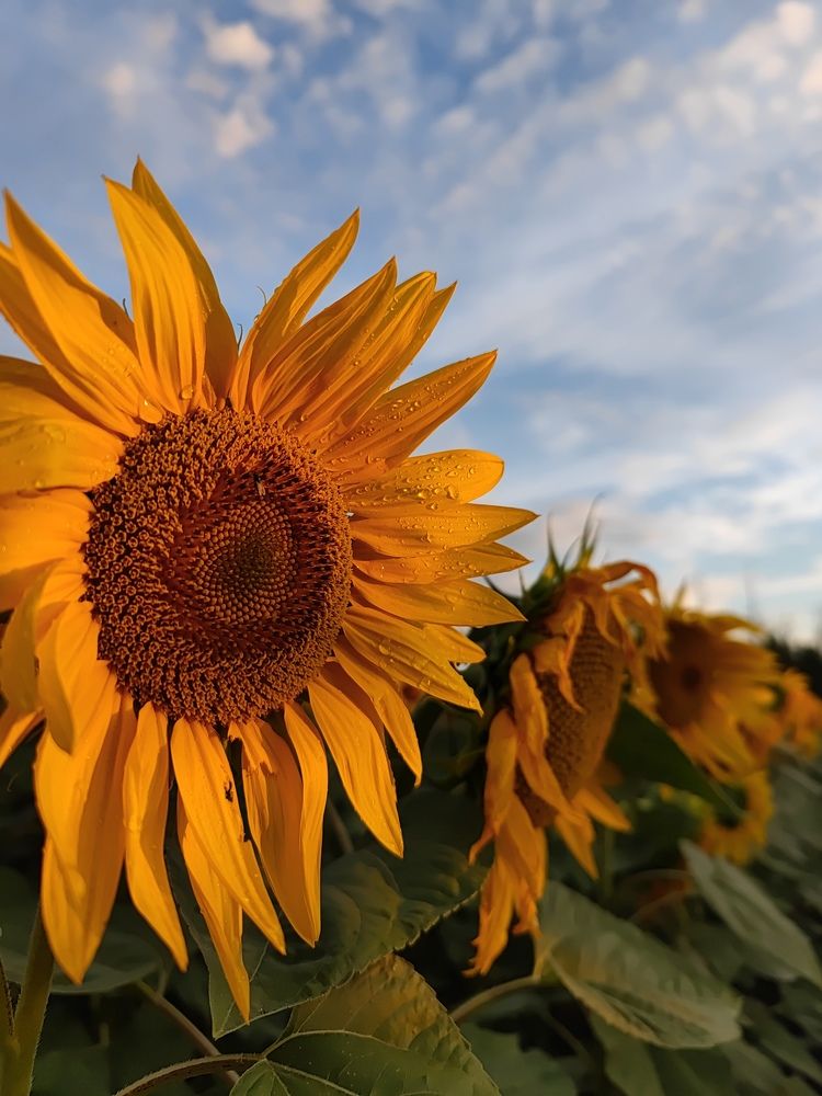 Photograph by Максим Двинин