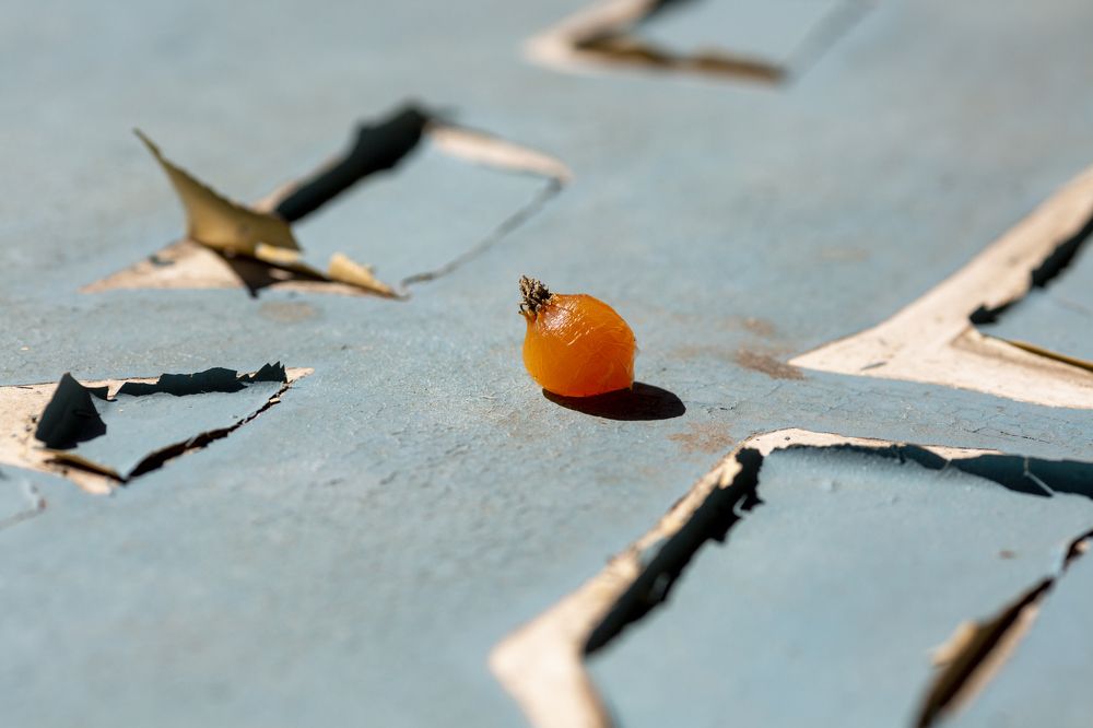 Photograph by Кутний Игорь