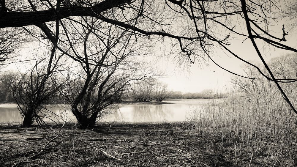 Фотография автора Вадим Коваленко