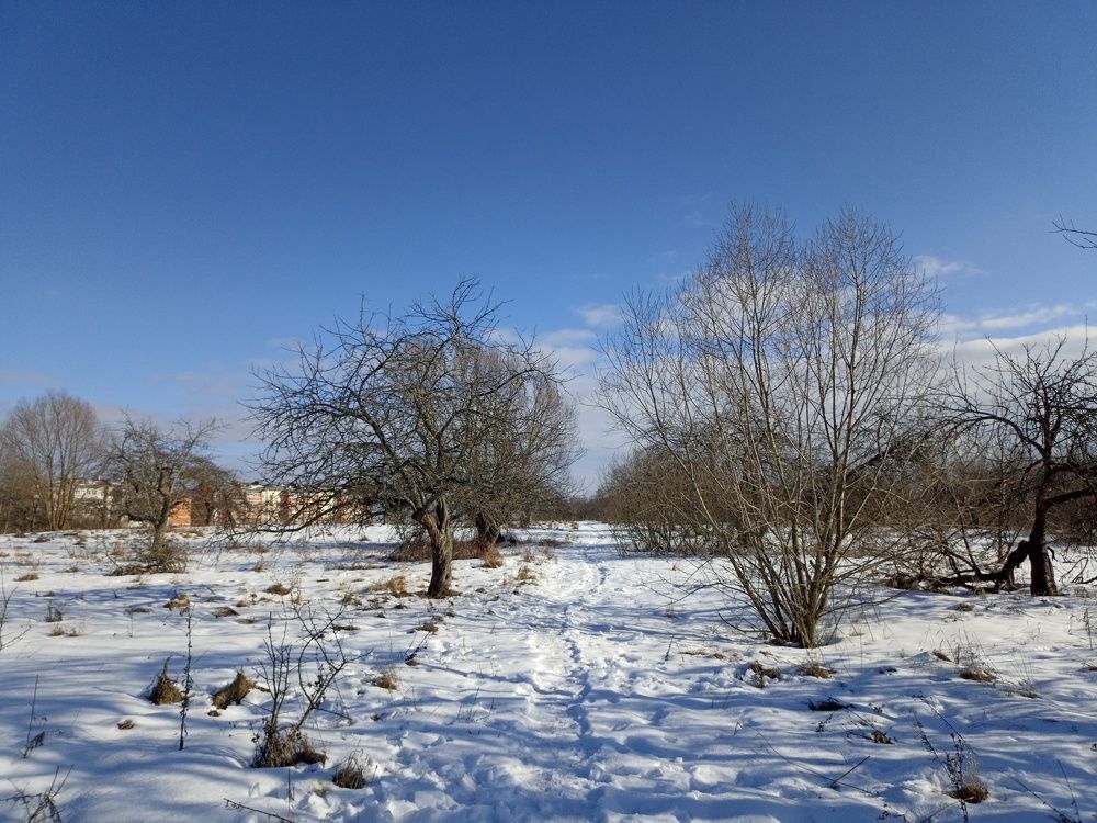 Photograph by Юлия