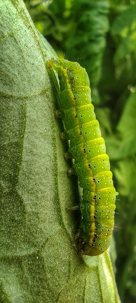 Photograph by Светлана Фладунг