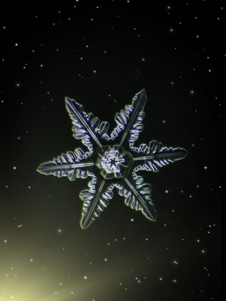 Real snowflake Nikon Coolpix B500+Raynox