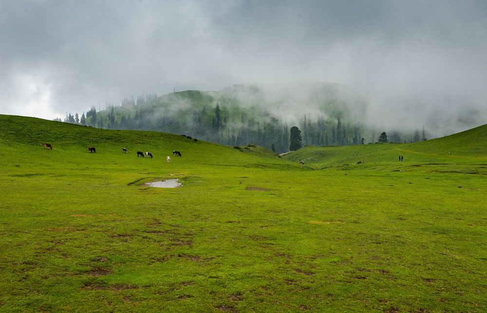 Photograph by Ahmad Bilal Cheema