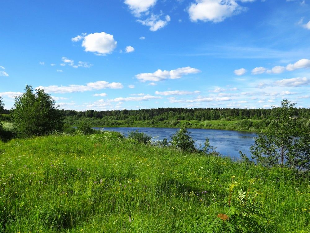 Photograph by Людмила Кононова