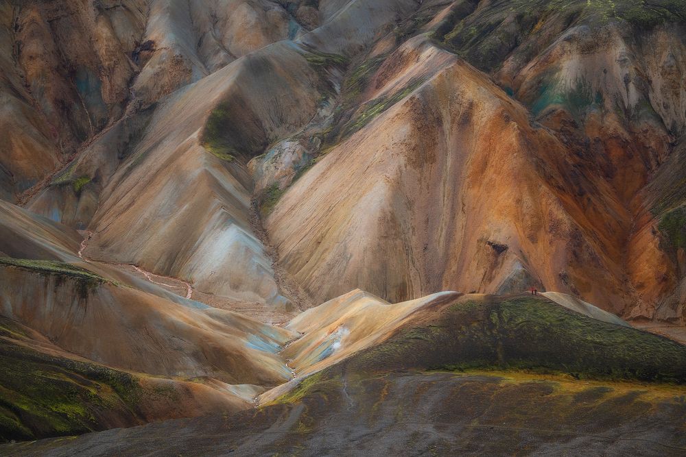 Little Adventurers in a Big Nature