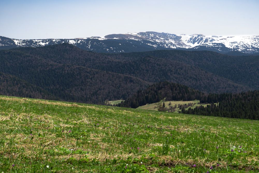 Photograph by Денис Карачёв