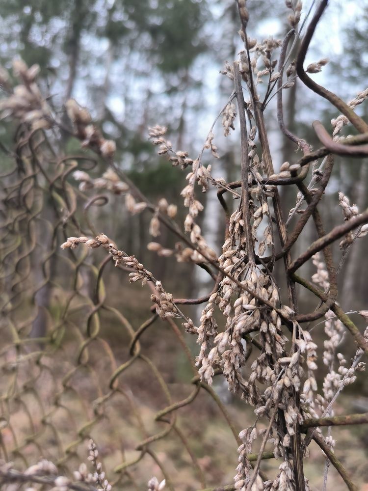 Photograph by Yuliya