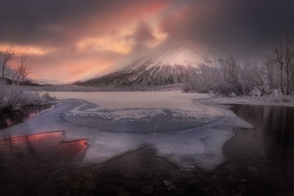 Фотография автора Dmitry Medyancev