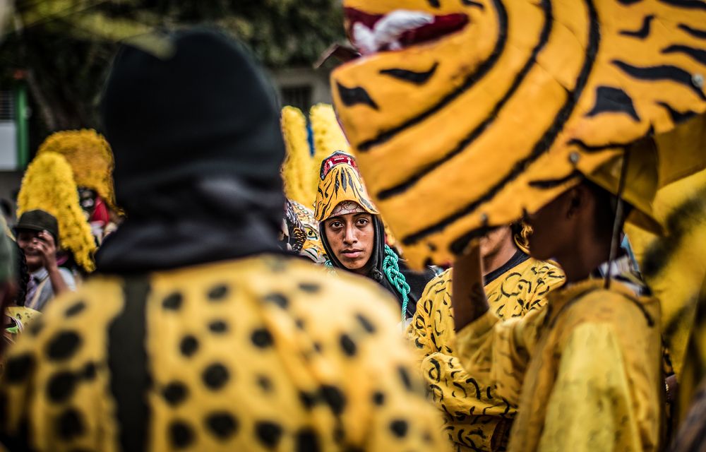 Photograph by Daniel torralba