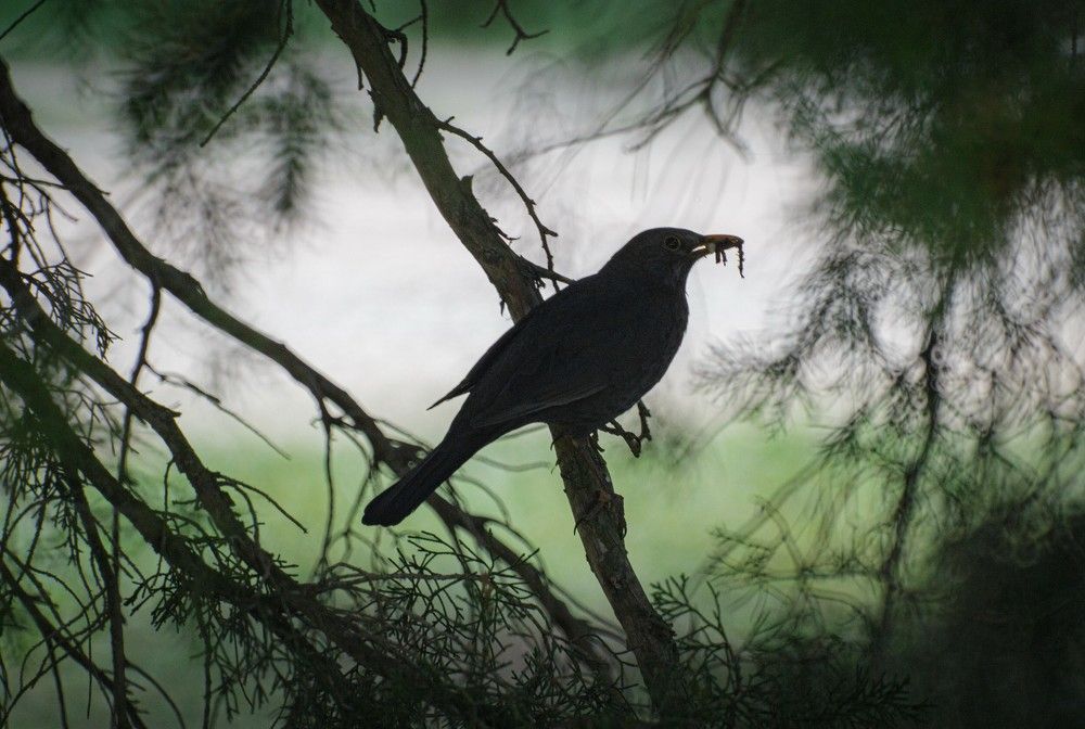 Фотография автора Юлия Трубанова