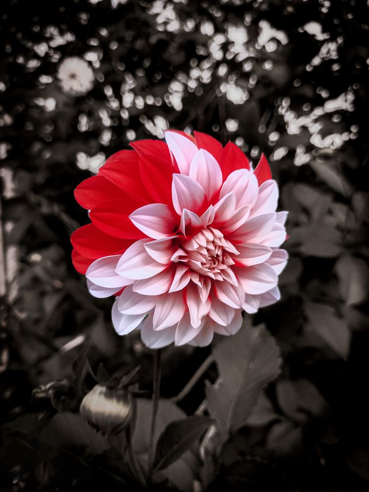 Photograph by Ephraim Warari