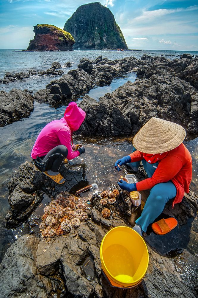 Photograph by khai nguyen tuan