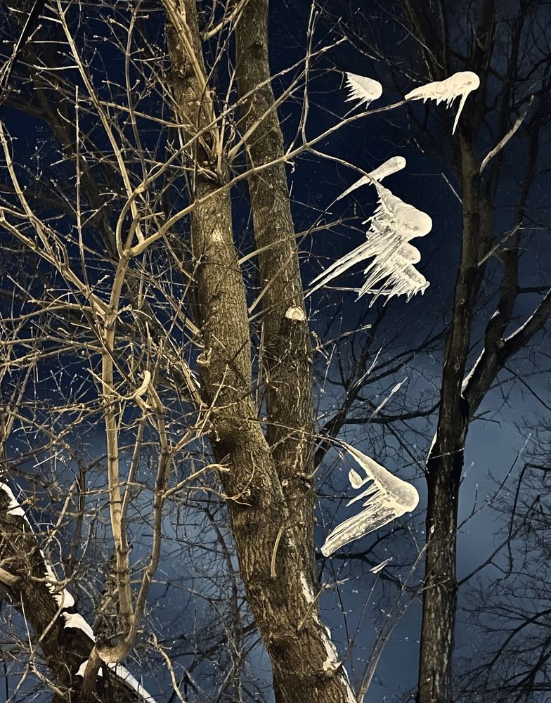 Photograph by Людмила Дорошева
