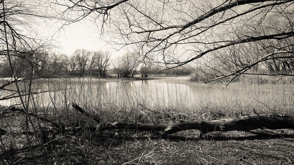 Фотография автора Вадим Коваленко