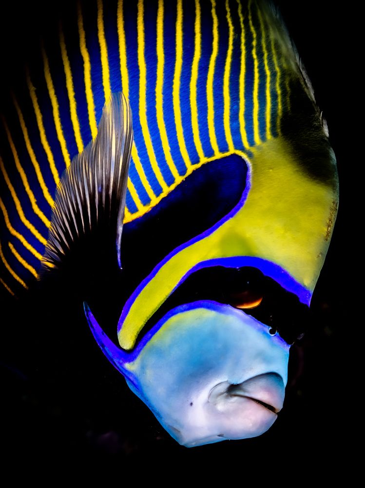 Photograph by Alexander Plakida